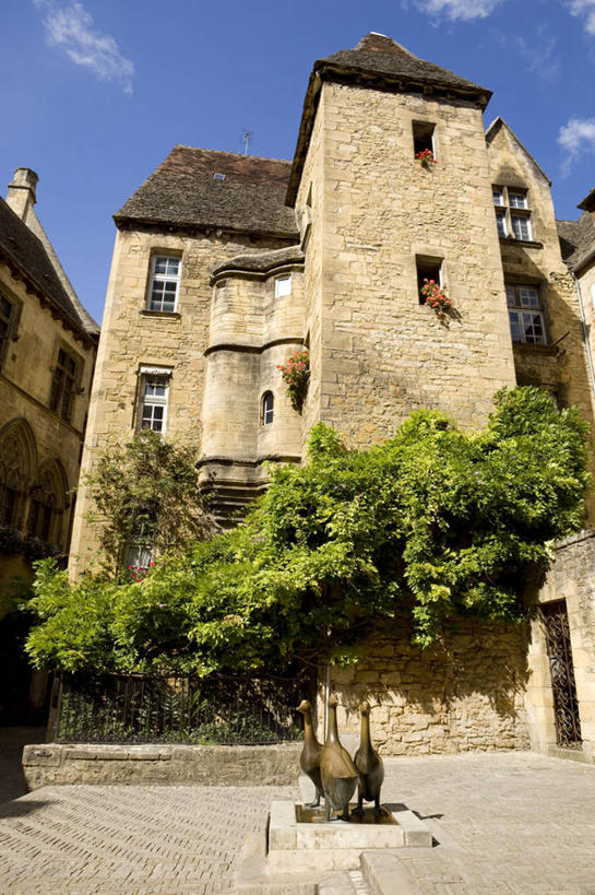 无人,家,竖图,室外,白天,仰视,旅游,度假,名胜古迹,树林,植物,标志建筑,地标,建筑,雕塑,法国,欧洲,阴影,遗迹,艺术,装饰,光线,雕刻,雕像,影子,堡垒,城堡,房屋,屋子,云,云朵,公寓,云彩,古迹,文物,娱乐,建设,古建筑,洋房,楼房,住宅,树,树木,蓝色,绿色,白云,蓝天,天空,阳光,自然,工艺品,天,享受,休闲,旅游胜地,放松,生长,晴朗,成长,纪念,美术,西欧,要塞,法兰西,主题,陈列,古文明,法兰西共和国,阿基坦,功能,美学,法兰西第五共和国,多尔多涅省,亚魁当,阿基坦大区,设防,多尔多涅,佩里格,晴空,彩图,低角度拍摄,房子,佩里格区