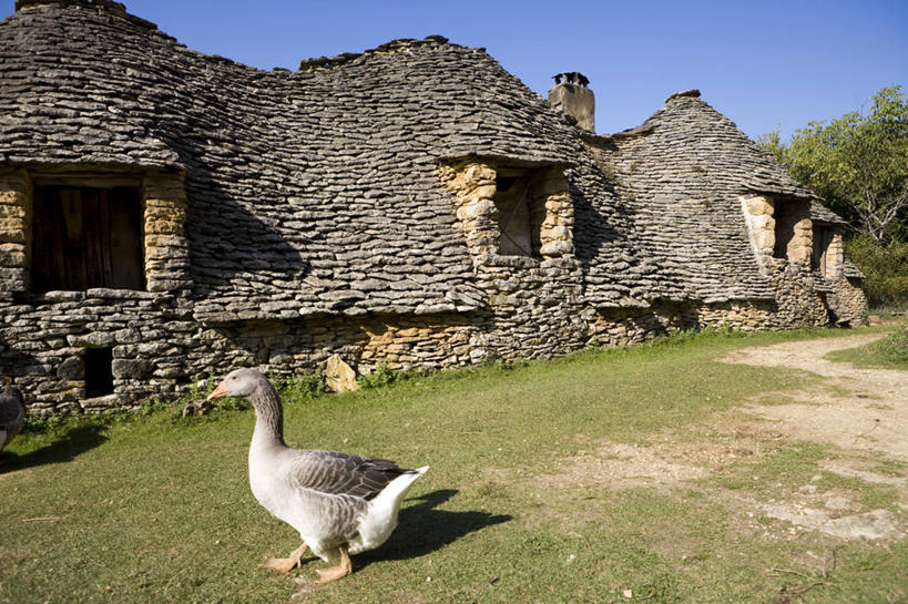 无人,家,站,横图,室外,白天,侧面,旅游,度假,草地,草坪,石头,美景,植物,鹅,鸟,法国,欧洲,阴影,光线,鸟类,水鸟,石子,影子,房屋,屋子,景观,注视,娱乐,楼房,住宅,草,树,树木,一只,蓝色,绿色,蓝天,天空,阳光,自然,天,观察,看,站着,享受,休闲,景色,放松,生长,晴朗,成长,观看,察看,西欧,关注,法兰西,自然风光,万里无云,法兰西共和国,阿基坦,法兰西第五共和国,多尔多涅省,亚魁当,阿基坦大区,多尔多涅,佩里格,石块,岩石,晴空,晴空万里,站立,彩图,全身,房子,佩里格区