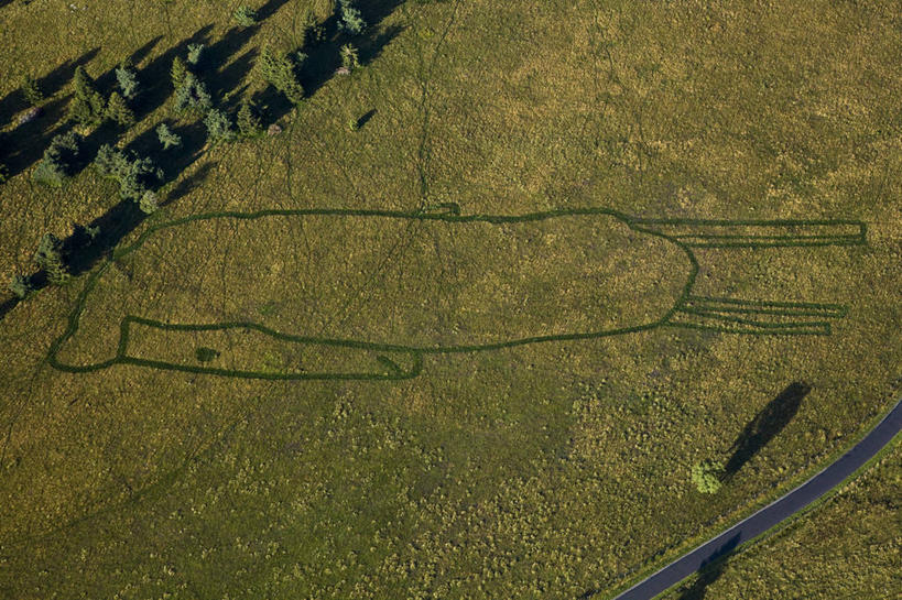 无人,横图,俯视,航拍,室外,白天,旅游,度假,草地,草坪,美景,山,山脉,树林,植物,法国,欧洲,阴影,光线,影子,景观,山峰,山峦,娱乐,草,树,树木,绿色,阳光,自然,群山,享受,休闲,景色,放松,生长,成长,西欧,鸟瞰,法兰西,自然风光,法兰西共和国,法兰西第五共和国,奥弗涅,奥弗涅大区,多姆山,彩图,高角度拍摄