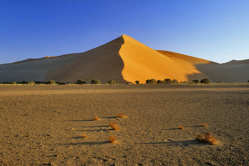 无人,公园,横图,室外,白天,正面,旅游,度假,美景,沙漠,植物,非洲,纳米比亚,阴影,枯萎,光线,纹路,纹理,影子,景观,枯草,娱乐,草,黄色,蓝色,蓝天,天空,阳光,自然,天,享受,休闲,景色,放松,晴朗,国家公园,自然风光,万里无云,肌理,纳米比亚共和国,纳米布沙漠,纳米布.诺克卢福国家公园,纳米比沙漠,大漠,砂漠,晴空,晴空万里,彩图