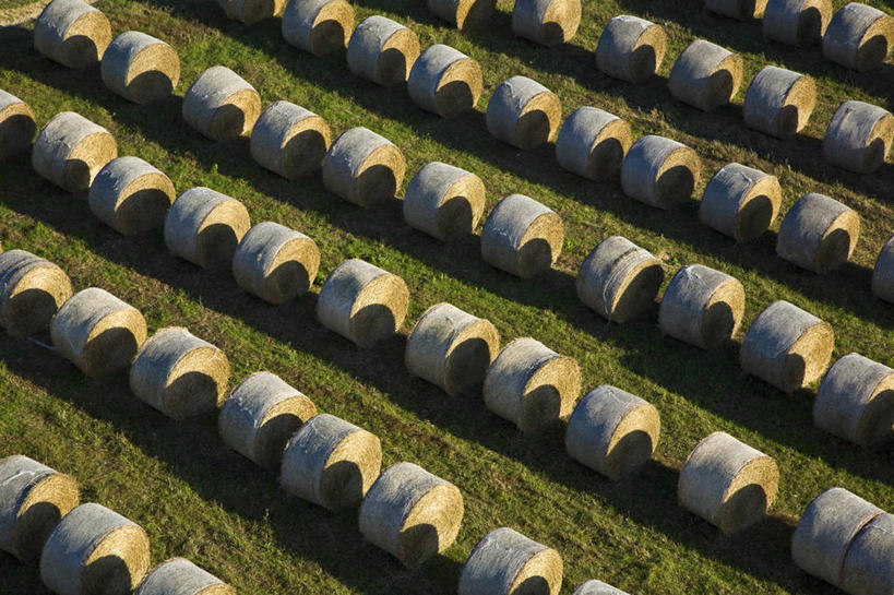 无人,横图,俯视,航拍,室外,白天,旅游,度假,草地,草坪,美景,植物,法国,欧洲,一排,许多,阴影,整齐,并列,并排,光线,影子,景观,干草,很多,娱乐,草,排列,绿色,阳光,自然,草垛,享受,休闲,景色,放松,西欧,鸟瞰,队列,法兰西,自然风光,平行,法兰西共和国,法兰西第五共和国,法兰西岛,伊夫林省,法兰西岛大区,干草垛,彩图,高角度拍摄