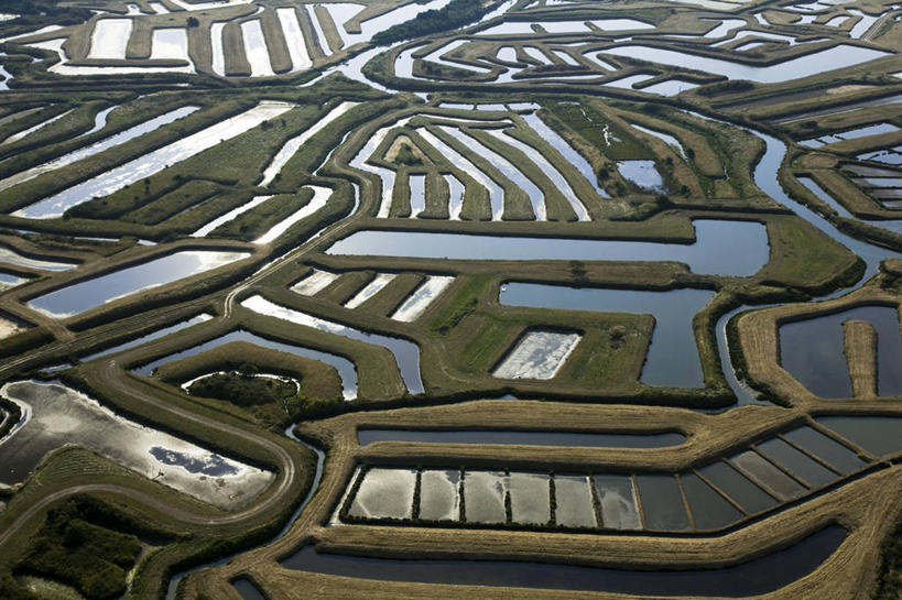 无人,横图,俯视,航拍,室外,白天,旅游,度假,草地,草坪,美景,植物,法国,欧洲,阴影,光线,影子,景观,娱乐,草,绿色,倒影,阳光,自然,享受,休闲,景色,放松,沼泽,倒映,西欧,鸟瞰,法兰西,自然风光,法兰西共和国,法兰西第五共和国,反照,普瓦图.夏朗德,普瓦图.夏朗德大区,滨海夏朗德省,彩图,高角度拍摄,奥莱龙岛,欧雷翁岛