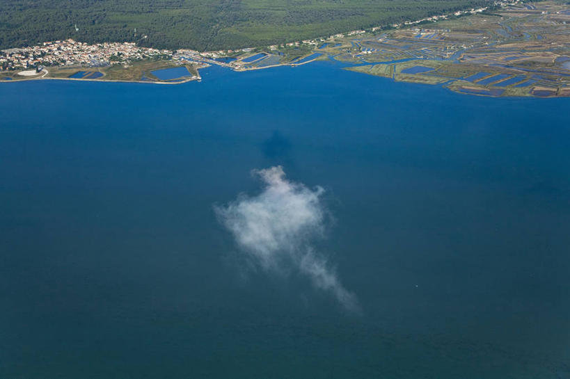 无人,横图,俯视,航拍,室外,白天,旅游,度假,草地,草坪,海浪,海洋,美景,沙滩,植物,法国,欧洲,阴影,光线,沙子,影子,海岸,景观,浪花,云,云朵,沙地,云彩,娱乐,草,树,树木,绿色,白云,阳光,自然,海水,享受,休闲,景色,放松,生长,成长,西欧,鸟瞰,法兰西,自然风光,海景,法兰西共和国,法兰西第五共和国,普瓦图.夏朗德,普瓦图.夏朗德大区,滨海夏朗德省,大海,风浪,海,海水的波动,海滩,近岸浪,涌浪,彩图,高角度拍摄,奥莱龙岛,欧雷翁岛