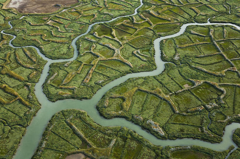 无人,横图,俯视,航拍,室外,白天,旅游,度假,草地,草坪,河流,美景,水,植物,法国,欧洲,阴影,光线,影子,河水,景观,水流,娱乐,草,绿色,阳光,自然,享受,休闲,景色,放松,沼泽,西欧,鸟瞰,法兰西,自然风光,法兰西共和国,法兰西第五共和国,普瓦图.夏朗德,普瓦图.夏朗德大区,夏朗德省,彩图,高角度拍摄,罗什福尔区,马雷内县