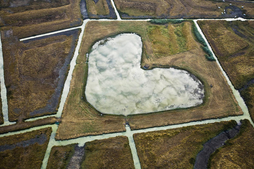 无人,横图,俯视,航拍,室外,白天,旅游,度假,美景,植物,法国,欧洲,阴影,枯萎,光线,影子,景观,枯草,娱乐,草,黄色,阳光,自然,享受,休闲,景色,放松,沼泽,西欧,鸟瞰,法兰西,自然风光,法兰西共和国,法兰西第五共和国,普瓦图.夏朗德,普瓦图.夏朗德大区,夏朗德省,彩图,高角度拍摄,罗什福尔区,拉特朗布拉德