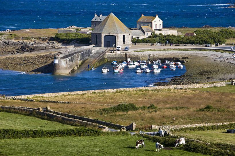 无人,家,站,吃,横图,室外,白天,正面,旅游,度假,草地,草坪,海浪,海洋,美景,植物,轮船,船,牛,法国,欧洲,停靠,阴影,光线,影子,房屋,屋子,景观,浪花,注视,娱乐,楼房,住宅,草,绿色,阳光,自然,海水,动物,交通工具,低头,观察,看,站着,享受,休闲,家畜,景色,放松,牲畜,五只,观看,察看,西欧,关注,停泊,法兰西,自然风光,载具,海景,法兰西共和国,法兰西第五共和国,垂头,下诺曼底,下诺曼底大区,芒什省,大海,风浪,海,海水的波动,近岸浪,涌浪,嚼,食,站立,彩图,全身,房子,科唐坦半岛