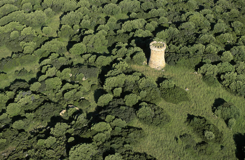 无人,横图,俯视,航拍,室外,白天,旅游,度假,草地,草坪,名胜古迹,树林,植物,标志建筑,地标,建筑,法国,欧洲,阴影,遗迹,光线,影子,古迹,文物,娱乐,建设,古建筑,废墟,草,树,树木,绿色,阳光,自然,享受,休闲,旅游胜地,放松,生长,成长,科西嘉,科西嘉岛,西欧,鸟瞰,法兰西,古文明,法兰西共和国,首府,法兰西第五共和国,南科西嘉,阿雅克肖,阿雅克修,南科西嘉省,科西嘉大区,彩图,高角度拍摄