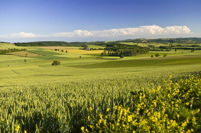 无人,横图,室外,白天,正面,旅游,度假,草地,草坪,花海,花圃,美景,树林,植物,叶子,法国,欧洲,阴影,盛开,光线,影子,景观,云,云朵,花蕾,云彩,娱乐,草,花,花瓣,花朵,花卉,鲜花,树,树木,蓝色,绿色,白云,蓝天,天空,阳光,自然,花丛,花束,花田,天,花苞,花蕊,享受,休闲,景色,放松,生长,晴朗,成长,西欧,法兰西,自然风光,法兰西共和国,法兰西第五共和国,奥弗涅,奥弗涅大区,晴空,彩图,多姆山省