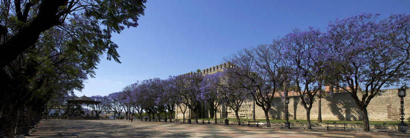 无人,家,横图,室外,白天,正面,旅游,度假,名胜古迹,植物,标志建筑,道路,地标,建筑,路,西班牙,欧洲,阴影,遗迹,盛开,光线,影子,堡垒,城堡,房屋,屋子,小路,交通,花蕾,古迹,文物,娱乐,建设,古建筑,楼房,安达卢西亚,住宅,花,花瓣,花朵,鲜花,树,树木,蓝色,绿色,紫色,蓝天,天空,阳光,自然,天,花苞,花蕊,享受,休闲,旅游胜地,放松,生长,晴朗,成长,要塞,南欧,安达鲁西亚,古文明,万里无云,加的斯,西班牙王国,安达卢西亚自治区,设防,赫雷斯.德拉弗龙特拉,晴空,晴空万里,彩图,房子