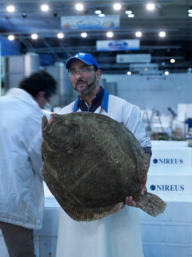 海鲜,西方人,背部,两个人,同事,站,竖图,室内,白天,正面,工作服,制服,购物,成功,合作,团队,集体,信心,消费,帽子,照明,欧洲,欧洲人,一副,握,阴影,光线,鱼,眼镜,影子,灯光,集市,市场,注视,运动帽,队伍,水产,鱼类,顶灯,海洋生物,灯,灯具,观察,看,站着,鸭舌帽,握着,金融,观看,鳐鱼,照亮,察看,领导,照明设备,成就,关注,水生动物,海产品,水生物,合伙,领袖,近视眼镜,选购,贸易,海底动物,魟鱼,魔鬼鱼,蝠鲼,工作制服,男人,男性,中年男性,白种人,站立,半身,彩图,工作套服,鱼市