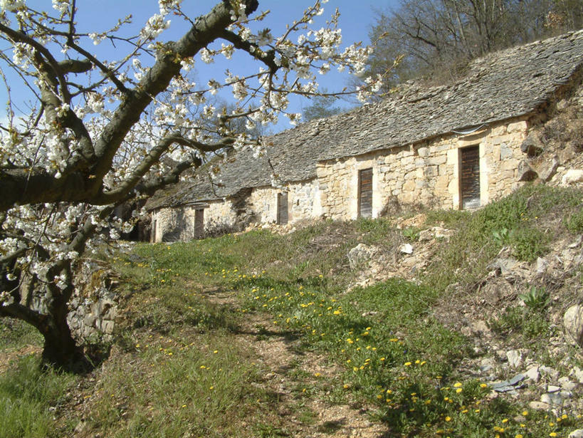 无人,家,横图,室外,白天,正面,旅游,度假,草地,草坪,花海,花圃,美景,树林,植物,叶子,法国,欧洲,阴影,盛开,光线,影子,房屋,屋子,景观,花蕾,娱乐,楼房,住宅,草,花,花瓣,花朵,花卉,鲜花,树,树木,蓝色,绿色,蓝天,天空,阳光,自然,花丛,花束,花田,天,花苞,花蕊,享受,休闲,景色,放松,生长,晴朗,成长,西欧,法兰西,自然风光,万里无云,法兰西共和国,法兰西第五共和国,南部.比利牛斯,阿韦龙省,南部.比利牛斯大区,晴空,晴空万里,彩图,房子,米约区,米约,塔尔恩河畔里维埃