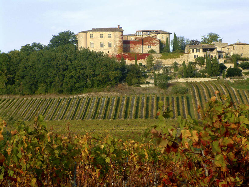 无人,家,果园,横图,室外,白天,正面,旅游,度假,草地,草坪,名胜古迹,田园,植物,标志建筑,地标,建筑,法国,欧洲,遗迹,堡垒,城堡,房屋,屋子,云,云朵,公寓,云彩,古迹,文物,娱乐,建设,古建筑,洋房,楼房,葡萄园,架子,住宅,草,树,树木,蓝色,绿色,白云,蓝天,天空,自然,庄园,天,享受,休闲,旅游胜地,放松,生长,晴朗,成长,支撑,固定,西欧,要塞,法兰西,葡萄架,古文明,法兰西共和国,法兰西第五共和国,南部.比利牛斯,设防,南部.比利牛斯大区,塔恩.加龙省,晴空,彩图,房子,阿尔比区,桑乌伊拉克