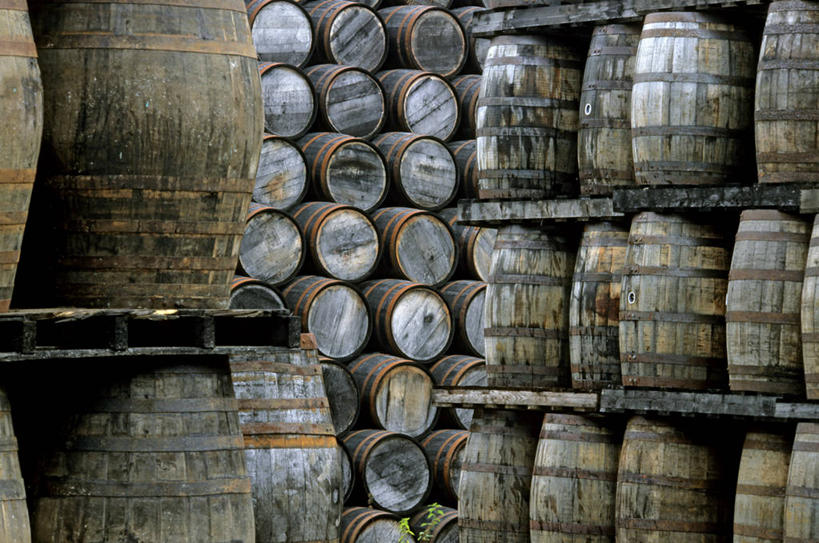 无人,工厂,横图,室内,白天,正面,一排,许多,整齐,并列,并排,木桶,桶,很多,酒窖,排列,容器,工业,储藏,储存,队列,平行,彩图,制造厂,生产工厂,酒库,贮存