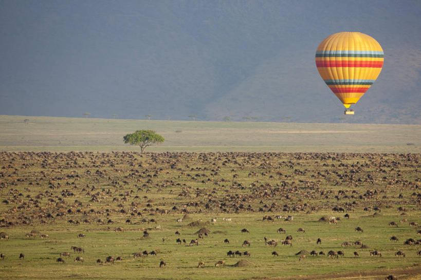 无人,公园,走,横图,俯视,室外,白天,旅游,度假,草地,草坪,美景,植物,野生动物,羊,非洲,肯尼亚,一群,许多,飞行,羚羊,景观,交通,很多,娱乐,航空,草,树,树木,绿色,自然,动物,热气球,交通工具,享受,休闲,景色,放松,可爱,运输,活泼,生长,成长,国家公园,自然风光,载具,角马,牛羚,阿非利加洲,肯尼亚共和国,马赛马拉国家公园,斑纹角马,黑斑牛羚,黑尾牛羚,蓝角马,步行,散步,走路,半身,彩图,高角度拍摄,马赛马拉,马赛马拉国家保护区,马赛马拉国家野生动物保护区