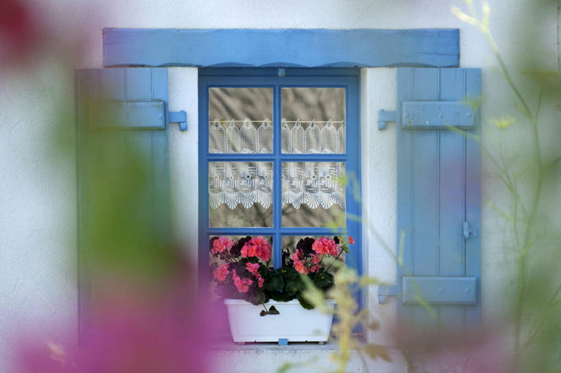 无人,家,横图,室外,白天,正面,度假,美景,植物,窗户,城市风光,城市,法国,欧洲,阴影,朦胧,模糊,盛开,光线,盆栽,影子,房屋,墙,屋子,景观,盆景,花蕾,娱乐,楼房,玻璃窗,墙壁,墙面,住宅,花,花瓣,花朵,鲜花,绿色,阳光,自然,花苞,花蕊,享受,休闲,景色,放松,生长,成长,西欧,法兰西,法兰西共和国,卢瓦尔河地区,法兰西第五共和国,卢瓦尔,卢瓦尔大区,卢瓦尔河大区,彩图,房子,大西洋岸卢瓦尔省,大西洋卢瓦尔省,圣纳泽尔区,阿塞拉克