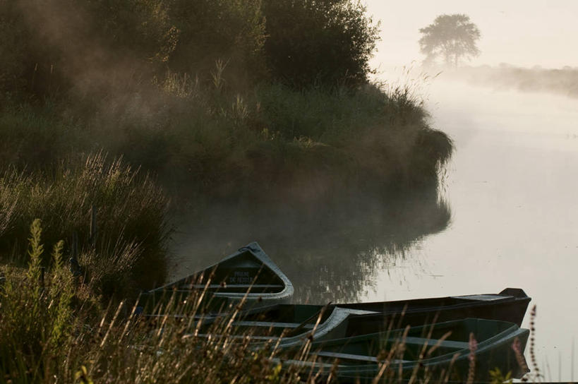 无人,横图,室外,白天,正面,旅游,度假,河流,美景,水,植物,雾,船,法国,欧洲,波纹,朦胧,模糊,河水,景观,水流,木船,涟漪,娱乐,树,树木,绿色,倒影,水纹,自然,交通工具,波浪,享受,休闲,景色,放松,生长,成长,迷雾,倒映,舟,西欧,法兰西,自然风光,载具,法兰西共和国,卢瓦尔河地区,水晕,法兰西第五共和国,反照,卢瓦尔,卢瓦尔大区,卢瓦尔河大区,大雾,彩图,大西洋岸卢瓦尔省,大西洋卢瓦尔省,圣纳泽尔区,圣利法尔