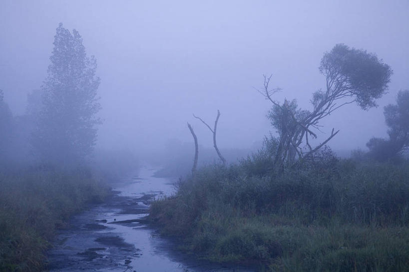 无人,横图,室外,白天,正面,旅游,度假,草地,草坪,河流,美景,水,植物,雾,法国,欧洲,朦胧,模糊,河水,景观,水流,娱乐,草,树,树木,绿色,自然,享受,休闲,景色,放松,生长,成长,迷雾,沼泽,西欧,法兰西,自然风光,法兰西共和国,卢瓦尔河地区,法兰西第五共和国,卢瓦尔,卢瓦尔大区,卢瓦尔河大区,大雾,彩图,大西洋岸卢瓦尔省,大西洋卢瓦尔省,圣纳泽尔区,圣若阿希姆