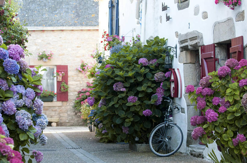 无人,家,横图,室外,白天,正面,旅游,度假,骄傲,美景,城市风光,城市,道路,建筑,路,自行车,八仙花,叶子,法国,欧洲,一辆,停靠,盛开,房屋,墙,屋子,景观,公寓,小路,绿叶,交通,花蕾,娱乐,建设,洋房,楼房,墙壁,墙面,住宅,车,脚踏车,花,花瓣,花朵,鲜花,交通工具,花苞,花蕊,绣球花,享受,休闲,嫩叶,景色,放松,紫阳花,洋绣球,西欧,停泊,法兰西,载具,法兰西共和国,卢瓦尔河地区,草绣球,斗球,七变化,粉团花,法兰西第五共和国,善变,卢瓦尔,卢瓦尔大区,卢瓦尔河大区,叶,叶片,彩图,房子,大西洋岸卢瓦尔省,大西洋卢瓦尔省,圣纳泽尔区,滨海皮里阿克