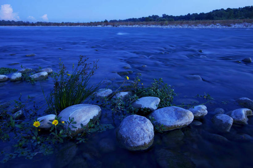 无人,横图,室外,白天,正面,旅游,度假,草地,草坪,河流,石头,美景,水,植物,法国,欧洲,阴影,波纹,盛开,光线,石子,影子,河水,景观,水流,云,云朵,涟漪,花蕾,云彩,娱乐,草,花,花瓣,花朵,鲜花,黄色,蓝色,绿色,白云,倒影,蓝天,水纹,天空,阳光,自然,波浪,天,花苞,花蕊,享受,休闲,鹅卵石,景色,放松,晴朗,倒映,西欧,沃克吕兹省,法兰西,自然风光,按摩石,法兰西共和国,水晕,法兰西第五共和国,反照,普罗旺斯.阿尔卑斯.蓝色海岸,普罗旺斯.阿尔卑斯.蓝色海岸大区,石块,晴空,彩图,阿普特区,洛里