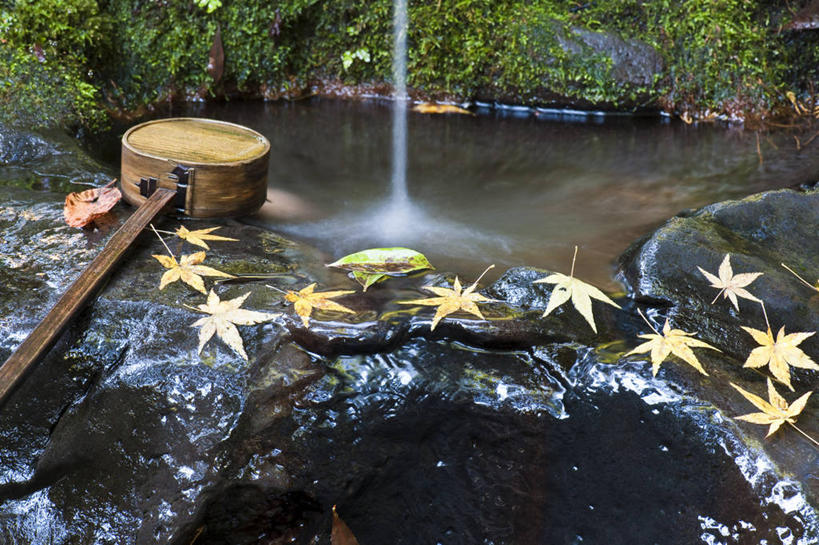 无人,寺庙,横图,室外,白天,正面,旅游,度假,石头,名胜古迹,秋季,树林,水,植物,标志建筑,地标,建筑,叶子,奈良县,日本,亚洲,飞溅,节日,遗迹,溅,石子,液体,水滴,枫叶,枯叶,落叶,古迹,文化,文物,娱乐,建设,古建筑,水珠,树,树木,黄色,红色,绿色,自然,庙宇,祈祷,享受,休闲,健康,旅游胜地,放松,许愿,宗教,佛教,信仰,生长,成长,纪念,枫树叶,祈求,喷洒,古文明,东亚,本州,本州岛,日本国,近畿地方,奈良,近畿,县厅,释教,奈良市,平安,叶,叶片,石块,岩石,秋,秋天,彩图,庙,寺,唐招提寺