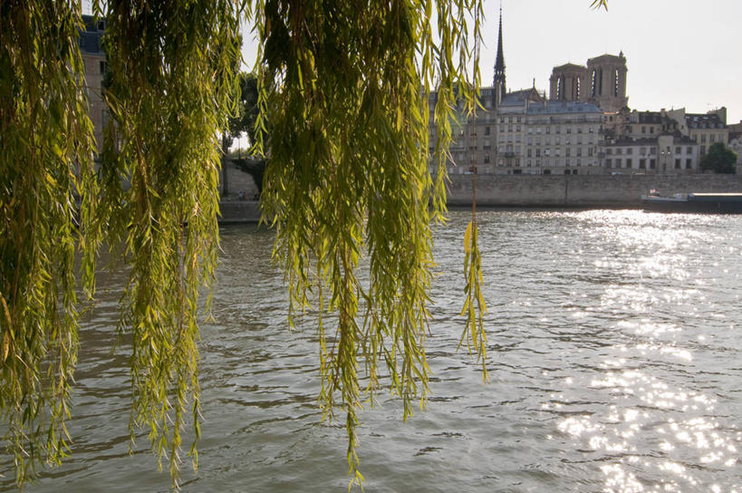 无人,家,教堂,横图,室外,白天,正面,旅游,度假,河流,名胜古迹,水,植物,标志建筑,地标,建筑,柳树,法国,巴黎,巴黎圣母院,欧洲,阴影,波纹,遗迹,光线,影子,房屋,屋子,河水,水流,涟漪,首都,古迹,文物,娱乐,建设,古建筑,楼房,垂柳,住宅,树,树木,绿色,倒影,水纹,天空,阳光,自然,波浪,天,享受,休闲,旅游胜地,放松,生长,成长,哥特式,倒映,基督教,西欧,法兰西,塞纳河,古文明,焦糖,哥特式建筑,法兰西共和国,巴黎圣母院大教堂,水晕,法兰西第五共和国,倒挂柳,法兰西岛,反照,法兰西岛大区,城岛,西岱岛,西堤岛,垂枝柳,彩图,房子,食品添加剂,添加剂,斯德岛,西泰岛,巴黎省,巴黎市,酱色,焦糖色,着色剂