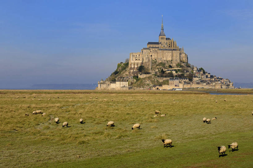 无人,站,横图,室外,白天,正面,旅游,度假,草地,草坪,海浪,海洋,名胜古迹,植物,标志建筑,地标,建筑,羊,法国,欧洲,一群,许多,阴影,节日,遗迹,光线,影子,浪花,很多,古迹,文化,文物,娱乐,建设,古建筑,草,树,树木,蓝色,绿色,蓝天,天空,阳光,自然,海水,动物,天,祈祷,站着,享受,休闲,健康,旅游胜地,家畜,放松,许愿,宗教,牲畜,信仰,生长,晴朗,成长,纪念,祈求,基督教,西欧,天主教,法兰西,修道院,海景,信念,古文明,万里无云,法兰西共和国,法兰西第五共和国,圣米歇尔山,下诺曼底,下诺曼底大区,神学院,修院,隐修院,芒什省,平安,大海,风浪,海,海水的波动,近岸浪,涌浪,晴空,晴空万里,绵羊,站立,彩图,全身,圣米歇尔山修道院
