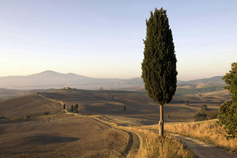 无人,横图,室外,白天,正面,旅游,度假,草地,草坪,石头,美景,山,山脉,植物,道路,路,柏树,意大利,欧洲,阴影,光线,石子,影子,景观,山峰,小路,交通,山峦,娱乐,草,树,树木,蓝色,绿色,蓝天,天空,阳光,自然,群山,天,享受,休闲,景色,放松,乡间小路,生长,晴朗,成长,托斯卡纳,锡耶纳,南欧,自然风光,万里无云,意大利共和国,高尚,长寿,不朽,正气,托斯卡纳大区,石块,岩石,晴空,晴空万里,彩图,阿米亚塔山,奥尔恰谷