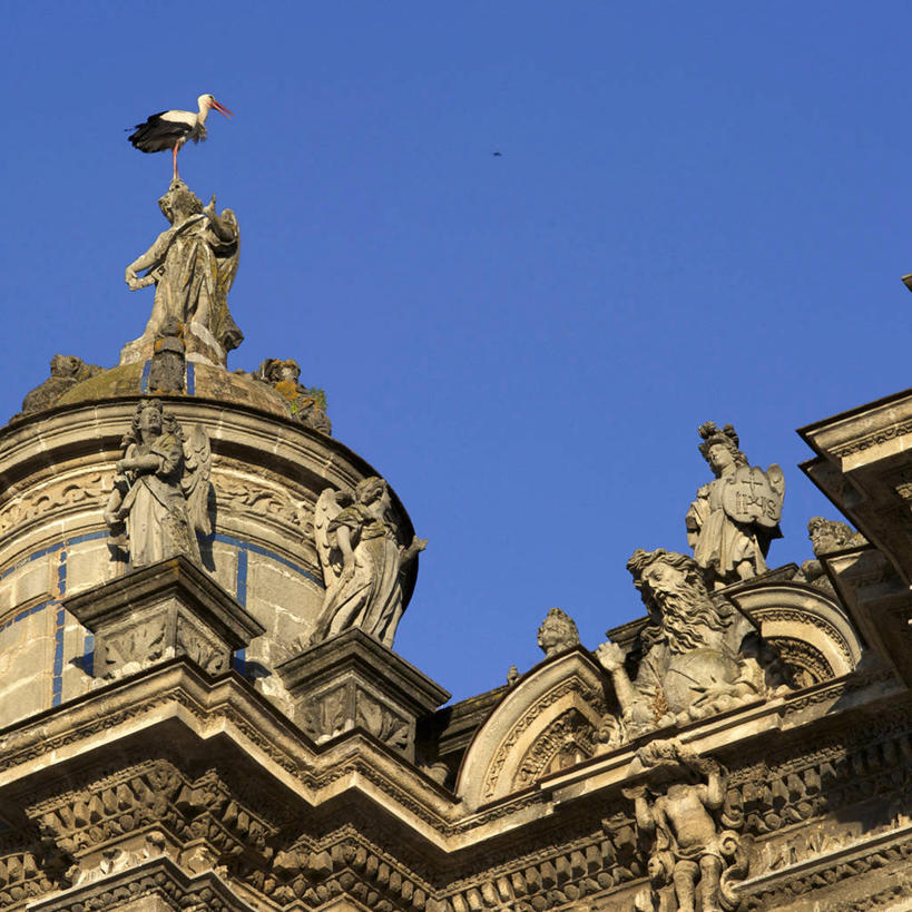 无人,教堂,站,方图,室外,白天,仰视,旅游,度假,名胜古迹,标志建筑,地标,建筑,鸟,雕塑,西班牙,欧洲,阴影,节日,遗迹,艺术,装饰,光线,鸟类,雕刻,雕像,影子,古迹,文化,文物,娱乐,建设,古建筑,石雕,安达卢西亚,一只,蓝色,蓝天,天空,阳光,工艺品,天,祈祷,站着,享受,休闲,健康,旅游胜地,放松,许愿,宗教,信仰,晴朗,纪念,祈求,美术,鹳,南欧,主题,安达鲁西亚,陈列,信念,古文明,万里无云,加的斯,西班牙王国,功能,美学,安达卢西亚自治区,赫雷斯.德拉弗龙特拉,平安,晴空,晴空万里,站立,彩图,低角度拍摄,全身,大教堂,礼拜堂