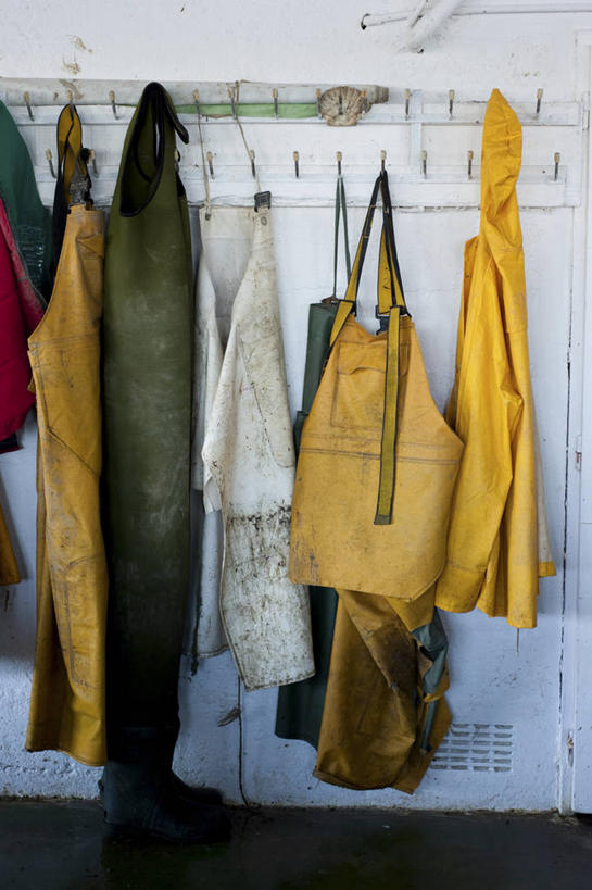 无人,工厂,竖图,室内,特写,白天,正面,工作服,制服,静物,法国,欧洲,一排,许多,阴影,整齐,反射,影子,墙,很多,墙壁,墙面,排列,白色,工业,布列塔尼,西欧,队列,法兰西,法兰西共和国,法兰西第五共和国,工作制服,布列塔尼地区,莫尔比昂省,彩图,工作套服,制造厂,生产工厂,瓦讷区,阿尔拉东