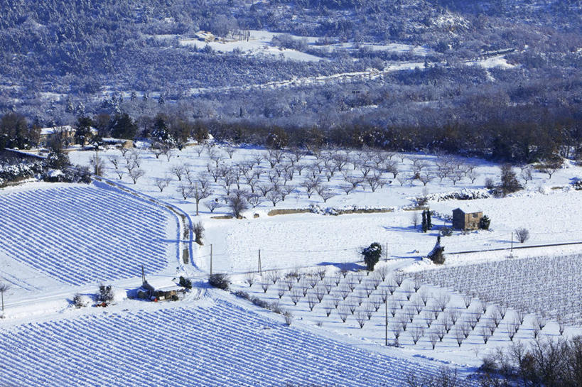 无人,果园,横图,俯视,室外,白天,旅游,度假,草地,草坪,美景,田园,雪,植物,大雪,法国,欧洲,一排,阴影,整齐,并列,并排,光线,影子,积雪,景观,雪景,冬季,冬天,娱乐,葡萄园,架子,草,树,树木,排列,绿色,阳光,自然,庄园,享受,休闲,景色,放松,寒冷,生长,成长,支撑,固定,西欧,沃克吕兹省,队列,法兰西,自然风光,平行,葡萄架,法兰西共和国,法兰西第五共和国,严寒,普罗旺斯.阿尔卑斯.蓝色海岸,普罗旺斯.阿尔卑斯.蓝色海岸大区,彩图,高角度拍摄,阿普特,阿普特区,赛尼翁