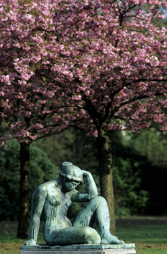 西方人,一个人,无人,坐,竖图,室外,白天,正面,旅游,度假,幸福,纯洁,草地,草坪,美景,植物,樱花,雕塑,比利时,欧洲,欧洲人,仅一个年轻女性,仅一个女性,仅一个人,许多,撑,阴影,朦胧,模糊,艺术,装饰,盛开,光线,雕刻,雕像,影子,景观,很多,花蕾,娱乐,裸露,草,花,花瓣,花朵,鲜花,树,树木,一个,粉色,绿色,阳光,自然,工艺品,花苞,花蕊,享受,休闲,景色,放松,生长,单个,成长,赤裸,等待,纪念,美术,撑着,生命,西欧,自然风光,主题,裸,陈列,功能,美学,仙樱花,福岛樱,青肤樱,高尚,比利时王国,热烈,弗拉芒.布拉班特省,弗拉芒大区,年轻女性,女人,女性,白种人,荆桃,坐着,彩图,全身,安特卫普省,拟人