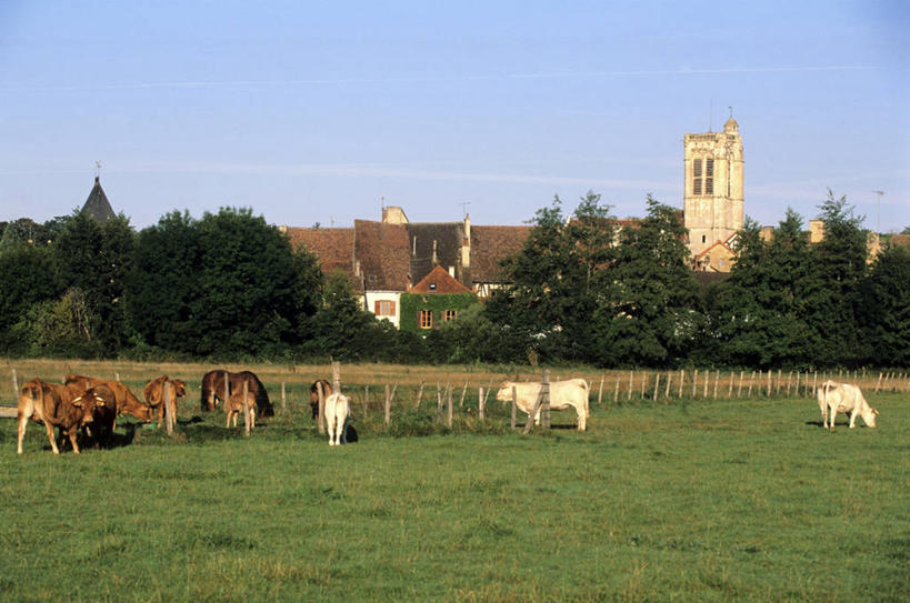 无人,家,农场,教堂,栏杆,站,吃,横图,室外,白天,正面,旅游,度假,畜牧业,牧场,草地,草坪,美景,植物,牛,法国,欧洲,许多,阴影,节日,时间,光线,时钟,影子,栅栏,房屋,屋顶,屋子,景观,篱笆,云,云朵,围栏,钟楼,褐色,很多,计时,云彩,顶棚,文化,娱乐,护栏,楼房,住宅,草,树,树木,排列,蓝色,绿色,白云,蓝天,天空,阳光,自然,动物,钟表,天,低头,祈祷,站着,享受,休闲,健康,表,家畜,景色,放松,许愿,宗教,牲畜,信仰,生长,晴朗,成长,纪念,祈求,勃艮第,西欧,法兰西,自然风光,信念,畜牧,法兰西共和国,牧业,法兰西第五共和国,塔钟,垂头,摆列,勃艮第大区,约讷省,平安,钟,晴空,嚼,食,站立,彩图,全身,房子,大教堂,礼拜堂,阿瓦隆区,努瓦埃尔,布列,分列