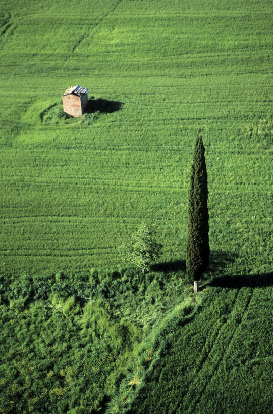 无人,家,农田,竖图,俯视,室外,白天,旅游,度假,庄稼,农作物,草地,草坪,美景,植物,柏树,意大利,欧洲,阴影,光线,影子,房屋,屋子,景观,娱乐,楼房,住宅,草,树,树木,绿色,阳光,自然,享受,休闲,景色,放松,生长,成长,托斯卡纳,锡耶纳,南欧,自然风光,意大利共和国,高尚,长寿,不朽,正气,托斯卡纳大区,彩图,高角度拍摄,耕地,庄稼田,房子,丝柏,阿米亚塔山,奥尔恰谷