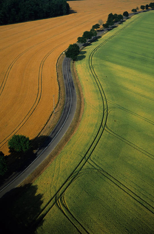 无人,农田,竖图,俯视,航拍,室外,白天,旅游,度假,庄稼,农作物,草地,草坪,美景,植物,道路,路,法国,欧洲,阴影,曲折,弯曲,光线,影子,景观,小路,交通,娱乐,草,树,树木,绿色,阳光,自然,享受,休闲,景色,放松,蜿蜒,生长,成长,勃艮第,西欧,鸟瞰,法兰西,自然风光,法兰西共和国,法兰西第五共和国,勃艮第大区,约讷省,彩图,高角度拍摄,耕地,庄稼田