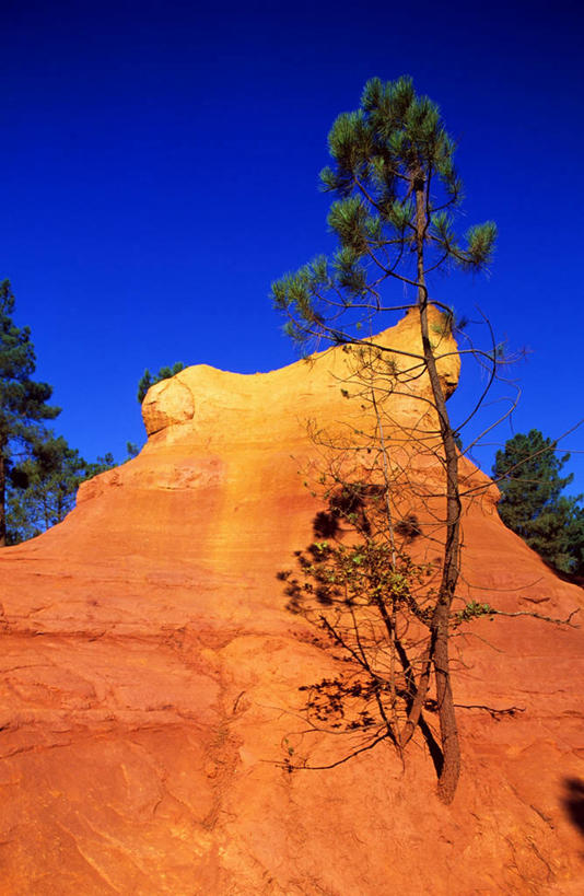 无人,竖图,室外,白天,仰视,旅游,度假,石头,美景,山,山脉,植物,法国,欧洲,阴影,光线,石子,影子,景观,山峰,悬崖,山峦,娱乐,树,树木,蓝色,绿色,蓝天,天空,阳光,自然,群山,天,享受,休闲,景色,放松,生长,晴朗,成长,西欧,沃克吕兹省,法兰西,自然风光,万里无云,法兰西共和国,法兰西第五共和国,绝壁,普罗旺斯.阿尔卑斯.蓝色海岸,普罗旺斯.阿尔卑斯.蓝色海岸大区,石块,岩石,晴空,晴空万里,彩图,低角度拍摄,吕贝隆山区