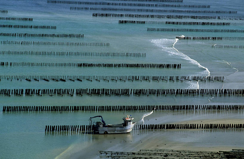 无人,农田,横图,俯视,室外,白天,旅游,度假,农业,庄稼,农作物,美景,船,法国,欧洲,一排,一艘,阴影,波纹,飞溅,整齐,并列,并排,溅,光线,液体,影子,池塘,稻田,景观,水池,水滴,木船,谷物,水稻,娱乐,稻,水珠,排列,水纹,阳光,自然,船尾波,交通工具,波浪,享受,休闲,景色,放松,舟,布列塔尼,西欧,队列,喷洒,法兰西,自然风光,载具,平行,法兰西共和国,法兰西第五共和国,布列塔尼地区,阿摩尔滨海省,彩图,高角度拍摄,耕地,庄稼田,迪南区,圣卡斯莱吉尔多