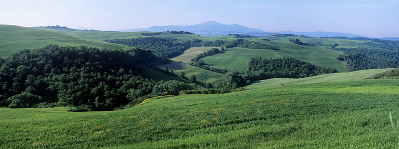 无人,农田,横图,室外,白天,正面,旅游,度假,庄稼,农作物,小麦,草地,草坪,美景,树林,植物,意大利,欧洲,阴影,光线,影子,景观,谷物,麦田,娱乐,草,树,树木,蓝色,绿色,蓝天,天空,阳光,自然,天,享受,休闲,景色,放松,麦子,生长,晴朗,成长,托斯卡纳,锡耶纳,南欧,自然风光,万里无云,意大利共和国,托斯卡纳大区,晴空,晴空万里,彩图,耕地,庄稼田,阿米亚塔山,奥尔恰谷