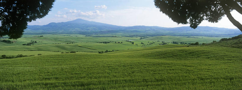 无人,农田,横图,室外,白天,正面,旅游,度假,庄稼,农作物,小麦,草地,草坪,美景,树林,植物,意大利,欧洲,阴影,光线,影子,景观,谷物,麦田,娱乐,草,树,树木,蓝色,绿色,蓝天,天空,阳光,自然,天,享受,休闲,景色,放松,麦子,生长,晴朗,成长,托斯卡纳,锡耶纳,南欧,自然风光,万里无云,意大利共和国,托斯卡纳大区,晴空,晴空万里,彩图,耕地,庄稼田,阿米亚塔山,奥尔恰谷