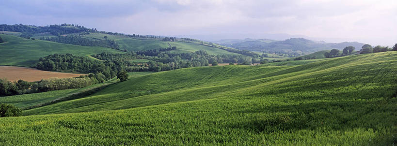 无人,农田,横图,室外,白天,正面,旅游,度假,庄稼,农作物,小麦,草地,草坪,美景,树林,植物,意大利,欧洲,阴影,光线,影子,景观,谷物,麦田,娱乐,草,树,树木,蓝色,绿色,蓝天,天空,阳光,自然,天,享受,休闲,景色,放松,麦子,生长,晴朗,成长,托斯卡纳,锡耶纳,南欧,自然风光,万里无云,意大利共和国,托斯卡纳大区,晴空,晴空万里,彩图,耕地,庄稼田,阿米亚塔山,奥尔恰谷