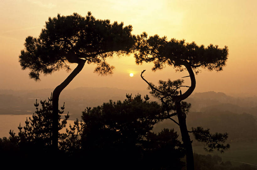 无人,横图,室外,白天,正面,旅游,度假,美景,日落,山,山脉,植物,法国,欧洲,景观,山峰,晚霞,霞光,落日,山峦,背光,娱乐,树,树木,绿色,自然,黄昏,群山,享受,休闲,景色,彩霞,放松,生长,成长,布列塔尼,西欧,法兰西,自然风光,逆光,法兰西共和国,法兰西第五共和国,夕照,薄暮,布列塔尼地区,阿摩尔滨海省,夕阳,彩图,傍晚,斜阳