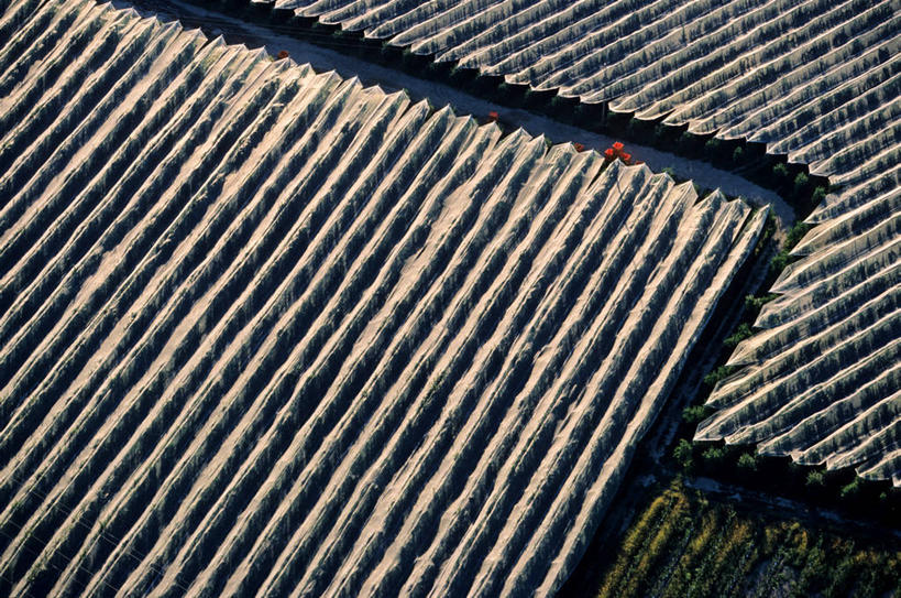 无人,果园,横图,俯视,航拍,室外,白天,旅游,度假,美景,田园,植物,道路,路,法国,欧洲,一排,许多,阴影,曲折,弯曲,整齐,并列,并排,光线,影子,景观,小路,果树,交通,很多,娱乐,树,树木,排列,绿色,阳光,自然,享受,休闲,景色,放松,蜿蜒,生长,成长,西欧,鸟瞰,队列,法兰西,自然风光,平行,法兰西共和国,田庄,法兰西第五共和国,普罗旺斯.阿尔卑斯.蓝色海岸,普罗旺斯.阿尔卑斯.蓝色海岸大区,园子,彩图,高角度拍摄,上普罗旺斯阿尔卑斯省,芒奥斯屈埃