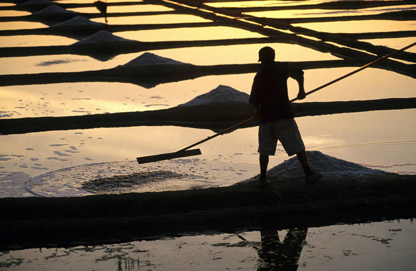 西方人,一个人,站,横图,俯视,室外,白天,旅游,度假,美景,日落,金属制品,法国,欧洲,欧洲人,仅一个男性,仅一个人,握,服装,金属,工具,池塘,景观,水池,晚霞,霞光,落日,背光,休闲装,娱乐,工人,仅一个年轻男性,一个,衣服,倒影,自然,黄昏,站着,享受,休闲,休闲服,景色,彩霞,放松,握着,服饰,单个,倒映,耙子,西欧,法兰西,自然风光,逆光,农具,法兰西共和国,卢瓦尔河地区,法兰西第五共和国,耕具,夕照,反照,薄暮,盐滩,卢瓦尔,卢瓦尔大区,卢瓦尔河大区,男人,男性,年轻男性,白种人,员工,夕阳,站立,彩图,高角度拍摄,全身,傍晚,匠人,劳动者,体力工,大西洋岸卢瓦尔省,大西洋卢瓦尔省,斜阳,盖朗德,杰宏德