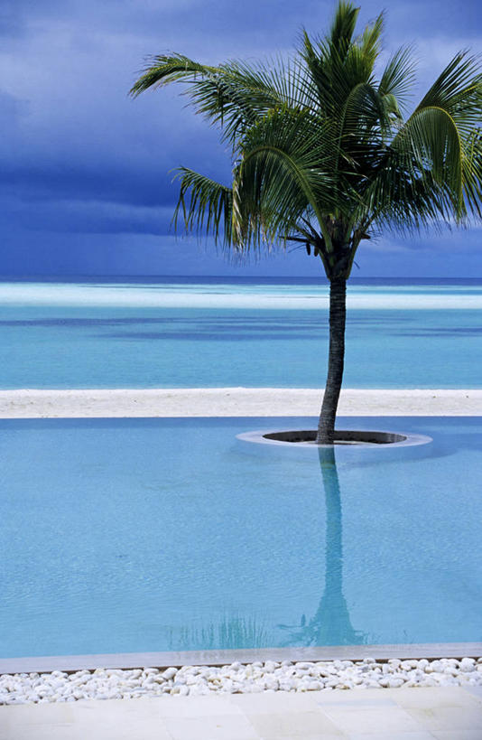 无人,游泳池,宾馆,竖图,室外,白天,正面,度假,海浪,海洋,美景,沙滩,水,植物,城市风光,城市,酒店,棕榈树,叶子,马尔代夫,亚洲,一棵,阴影,光线,沙子,影子,海岸,景观,浪花,水池,水面,云,云朵,绿叶,沙地,首都,云彩,娱乐,泳池,树,树木,蓝色,绿色,白云,蓝天,天空,阳光,自然,海水,天,享受,休闲,嫩叶,景色,放松,生长,晴朗,成长,旅社,南亚,海景,棕榈叶,马尔代夫共和国,马累,叶,叶片,大海,风浪,海,海水的波动,海滩,近岸浪,涌浪,晴空,棕树,棕榈,彩图,客店,客栈,旅店,旅馆,商旅