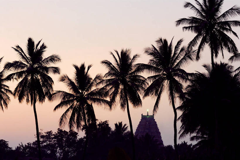 无人,寺庙,横图,室外,白天,仰视,旅游,度假,名胜古迹,日落,植物,标志建筑,地标,建筑,棕榈树,叶子,印度,亚洲,节日,遗迹,晚霞,霞光,落日,绿叶,背光,燃烧,古迹,文化,文物,娱乐,建设,古建筑,树,树木,绿色,自然,黄昏,香火,庙宇,祈祷,享受,休闲,健康,嫩叶,旅游胜地,彩霞,放松,许愿,宗教,信仰,生长,成长,纪念,祈求,南亚,逆光,古文明,棕榈叶,卡纳塔克邦,印度共和国,道观,夕照,薄暮,卡纳塔克,贝拉里,亨比,亨比古迹群,平安,叶,叶片,夕阳,棕树,棕榈,彩图,低角度拍摄,傍晚,庙,寺,斜阳