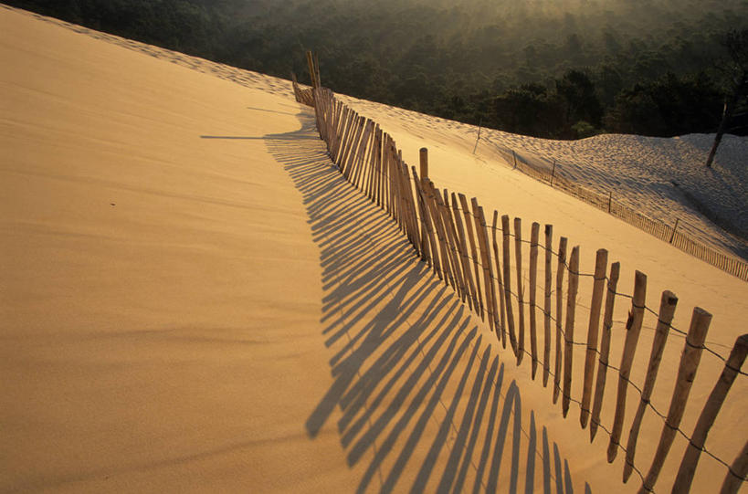 无人,栏杆,横图,俯视,室外,白天,旅游,度假,美景,沙滩,植物,法国,欧洲,阴影,光线,沙子,影子,栅栏,海岸,景观,篱笆,围栏,沙地,娱乐,护栏,树,树木,绿色,阳光,自然,享受,休闲,景色,放松,生长,成长,西欧,法兰西,自然风光,法兰西共和国,首府,波尔多,阿基坦,法兰西第五共和国,亚魁当,波尔多市,阿基坦大区,海滩,彩图,高角度拍摄,比拉沙丘