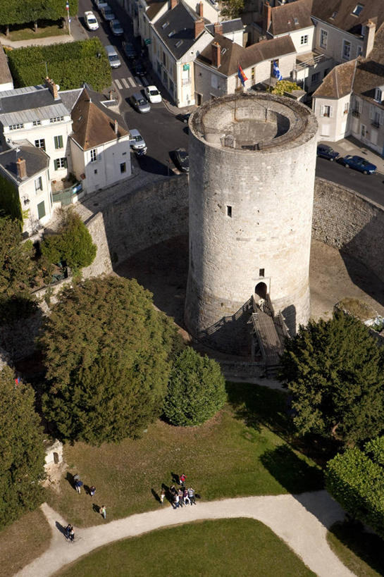 无人,家,竖图,俯视,航拍,室外,白天,旅游,度假,草地,草坪,名胜古迹,植物,标志建筑,地标,建筑,法国,欧洲,阴影,遗迹,光线,影子,堡垒,城堡,房屋,屋子,公寓,古迹,文物,娱乐,建设,古建筑,洋房,酒窖,楼房,住宅,草,树,树木,绿色,阳光,自然,享受,休闲,旅游胜地,放松,监狱,生长,成长,监禁,束缚,西欧,要塞,鸟瞰,法兰西,关押,监牢,牢房,牢狱,古文明,法兰西共和国,法兰西第五共和国,监管,禁闭,法兰西岛,法兰西岛大区,设防,埃松省,看守,彩图,高角度拍摄,房子,酒库,地牢,埃唐佩区,埃唐普区,杜尔当