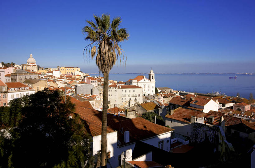 无人,家,横图,俯视,室外,白天,旅游,度假,河流,美景,水,植物,城市风光,城市,建筑,棕榈树,叶子,葡萄牙,欧洲,阴影,波纹,光线,瓦片,影子,房屋,屋顶,屋子,河水,景观,水流,公寓,建筑群,绿叶,涟漪,首都,顶棚,瓦,娱乐,建设,洋房,楼房,里斯本,住宅,树,树木,蓝色,绿色,倒影,蓝天,水纹,天空,阳光,自然,波浪,天,享受,休闲,嫩叶,景色,放松,建造,生长,晴朗,成长,倒映,南欧,棕榈叶,屋瓦,万里无云,水晕,葡萄牙共和国,反照,阿尔法玛,叶,叶片,晴空,晴空万里,棕树,棕榈,彩图,高角度拍摄,房子