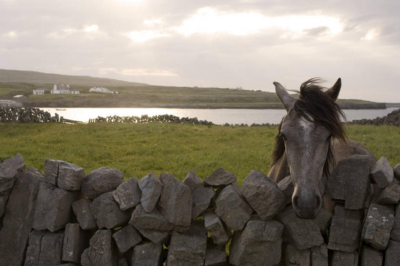 无人,站,横图,室外,白天,正面,旅游,度假,草地,草坪,河流,石头,美景,日落,水,植物,马,野生动物,爱尔兰,欧洲,石子,河水,景观,水流,晚霞,霞光,落日,注视,娱乐,一匹,草,绿色,自然,黄昏,动物,观察,看,站着,享受,休闲,景色,彩霞,放松,运输,牲畜,观看,察看,西欧,关注,自然风光,爱尔兰共和国,康诺特省,夕照,薄暮,阿伦群岛,高威郡,戈尔韦郡,石块,岩石,夕阳,站立,半身,彩图,傍晚,斜阳