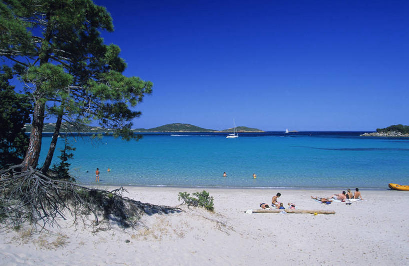 无人,横图,室外,白天,正面,旅游,度假,海浪,海洋,美景,沙滩,植物,法国,欧洲,阴影,光线,沙子,影子,海岸,景观,浪花,沙地,娱乐,树,树木,蓝色,绿色,蓝天,天空,阳光,自然,海水,天,享受,休闲,景色,放松,生长,晴朗,成长,科西嘉,科西嘉岛,西欧,法兰西,自然风光,海景,万里无云,法兰西共和国,法兰西第五共和国,南科西嘉,南科西嘉省,科西嘉大区,大海,风浪,海,海水的波动,海滩,近岸浪,涌浪,晴空,晴空万里,彩图,韦基奥港