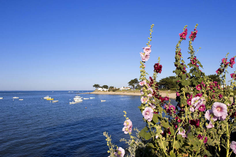 无人,横图,室外,白天,正面,旅游,度假,草地,草坪,海浪,海洋,美景,植物,法国,欧洲,阴影,盛开,光线,影子,景观,浪花,水平线,辽阔,海平线,花蕾,娱乐,草,花,花瓣,花朵,鲜花,树,树木,粉色,蓝色,绿色,蓝天,天空,阳光,自然,海水,天,花苞,花蕊,享受,休闲,广阔,景色,放松,生长,晴朗,成长,一望无际,西欧,法兰西,自然风光,海景,万里无云,法兰西共和国,卢瓦尔河地区,法兰西第五共和国,无边无际,一马平川,卢瓦尔,卢瓦尔大区,卢瓦尔河大区,旺代省,大海,风浪,海,海水的波动,近岸浪,涌浪,晴空,晴空万里,彩图,水天相接,水天一线